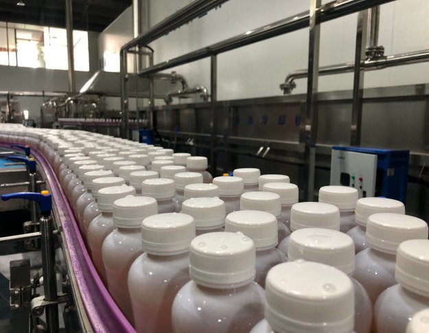 紅茶菌飲品生產車間